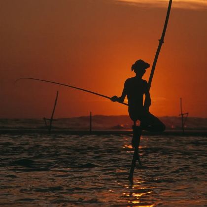 斯里兰卡8日7晚私家团 斯里兰卡8日7晚私家团