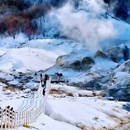 札幌+小樽+洞爷湖+登别地狱谷+地球岬+定山溪温泉+美瑛町+青池+AOAO SAPPORO(北海道)8日7晚拼小团 札幌+小樽+洞爷湖+登别地狱谷+地球岬+定山溪温泉+美瑛町+青池+AOAO SAPPORO(北海道)8日7晚拼小团