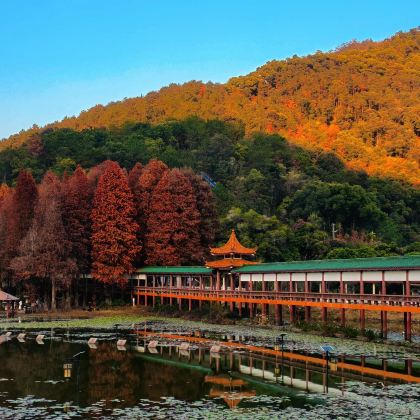 中国客家博物馆+花萼楼+泮坑风景区5日4晚私家团 中国客家博物馆+花萼楼+泮坑风景区5日4晚私家团