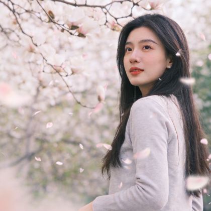 山东济南+泰山风景区+曲阜三孔景区3日2晚跟团游 山东济南+泰山风景区+曲阜三孔景区3日2晚跟团游