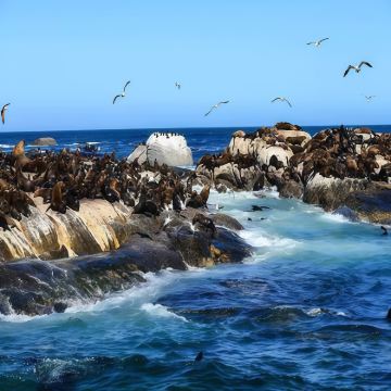 纳米比亚+南非+津巴布韦+博茨瓦纳+赞比亚17日14晚跟团游 纳米比亚+南非+津巴布韦+博茨瓦纳+赞比亚17日14晚跟团游