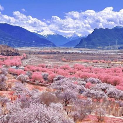 林芝2日1晚跟团游 林芝2日1晚跟团游