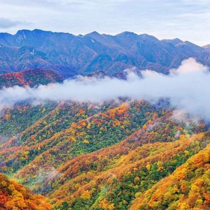 湖北武汉黄鹤楼+东湖生态旅游风景区+武当山风景区+神农架风景区+长江三峡+三峡大坝旅游区+恩施大峡谷+腾龙洞风景区15日14晚跟团游 湖北武汉黄鹤楼+东湖生态旅游风景区+武当山风景区+神农架风景区+长江三峡+三峡大坝旅游区+恩施大峡谷+腾龙洞风景区15日14晚跟团游