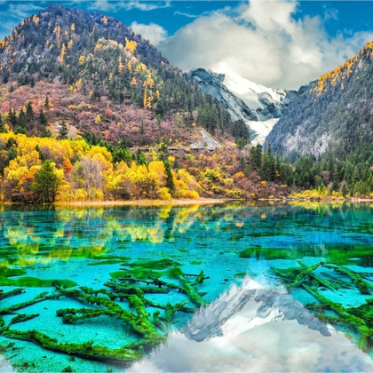 卧龙中华大熊猫苑神树坪基地+双桥沟+四姑娘山+四姑娘山长坪沟景区+毕棚沟+米亚罗风景区+奶子沟风景区+达古冰川风景区+松潘古城+九寨沟风景区+黄龙风景名胜区+叠溪-松坪沟风景区9日8晚拼小团 卧龙中华大熊猫苑神树坪基地+双桥沟+四姑娘山+四姑娘山长坪沟景区+毕棚沟+米亚罗风景区+奶子沟风景区+达古冰川风景区+松潘古城+九寨沟风景区+黄龙风景名胜区+叠溪-松坪沟风景区9日8晚拼小团