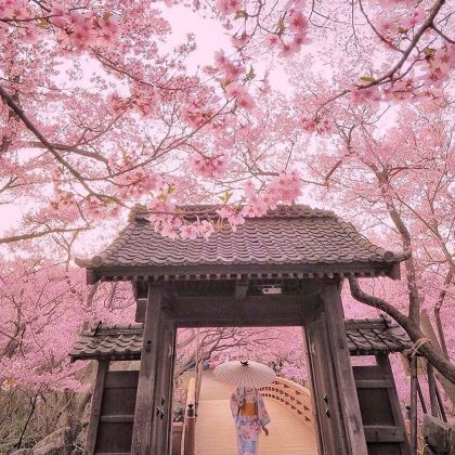 日本大阪+姬路市+冈山+高松+神户7日6晚私家团 日本大阪+姬路市+冈山+高松+神户7日6晚私家团