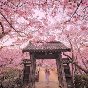 日本大阪+姬路市+冈山+高松+神户7日6晚私家团 日本大阪+姬路市+冈山+高松+神户7日6晚私家团