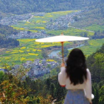 黄山+宏村景区+婺源4日3晚拼小团 黄山+宏村景区+婺源4日3晚拼小团