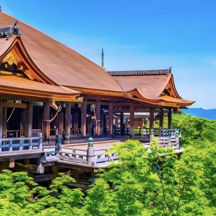 日本大阪+京都+奈良7日6晚私家团 日本大阪+京都+奈良7日6晚私家团