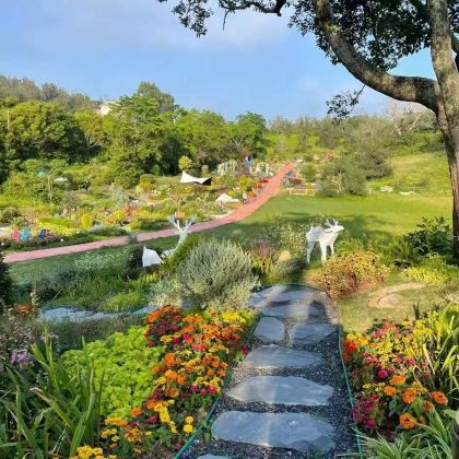 厦门鼓浪屿+云水谣景区+厦门园林植物园+福建土楼永定景区5日4晚私家团 厦门鼓浪屿+云水谣景区+厦门园林植物园+福建土楼永定景区5日4晚私家团