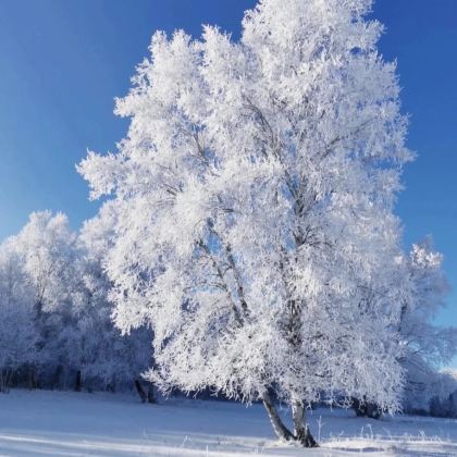 张家口+崇礼区+乌兰布统+坝上+承德5日4晚拼小团 张家口+崇礼区+乌兰布统+坝上+承德5日4晚拼小团