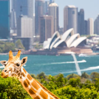 澳大利亚悉尼+蓝山国家公园+杰林冈6日5晚拼小团 澳大利亚悉尼+蓝山国家公园+杰林冈6日5晚拼小团