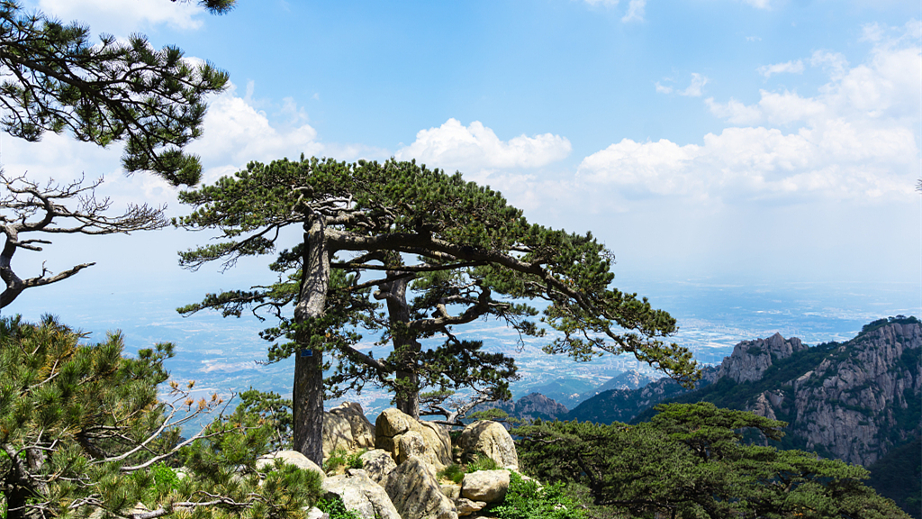 泰安泰山风景区曲阜三孔孔子博物馆4日3晚自由行