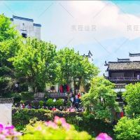 黄山+婺源+宏村4日3晚跟团游 黄山+婺源+宏村4日3晚跟团游