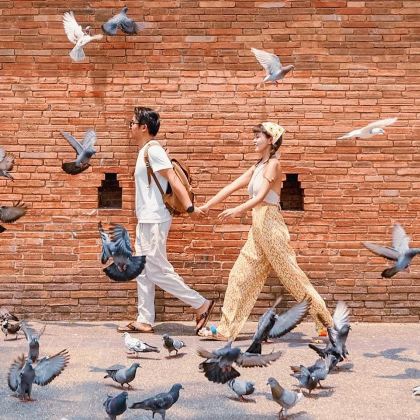 泰国清迈+清莱6日5晚跟团游 泰国清迈+清莱6日5晚跟团游