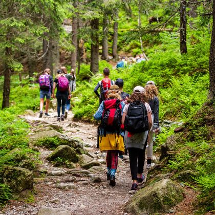 沈阳+长春+长白山+哈尔滨7日6晚拼小团 沈阳+长春+长白山+哈尔滨7日6晚拼小团