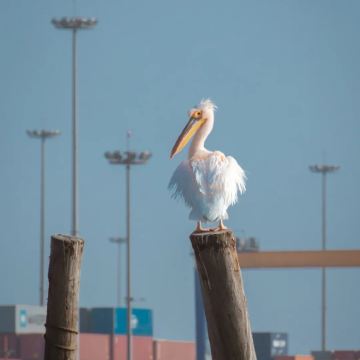 纳米比亚温得和克+纳米布沙漠+鲸湾港+Spitzkoppe11日8晚私家团 纳米比亚温得和克+纳米布沙漠+鲸湾港+Spitzkoppe11日8晚私家团