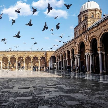 突尼斯7日4晚跟团游 突尼斯7日4晚跟团游