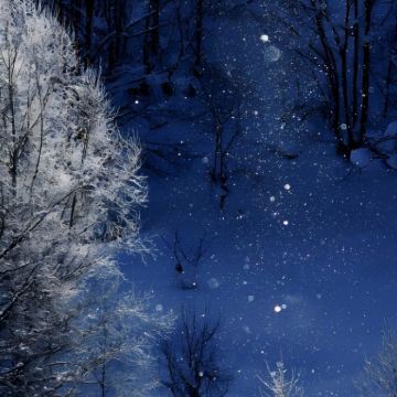 日本6日5晚私家团 日本6日5晚私家团