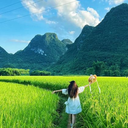 桂林+漓江+阳朔+龙脊梯田5日4晚私家团 桂林+漓江+阳朔+龙脊梯田5日4晚私家团