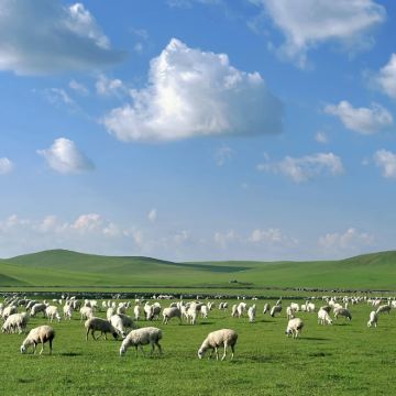 内蒙古呼伦贝尔+额尔古纳+满洲里+呼伦湖6日5晚跟团游 内蒙古呼伦贝尔+额尔古纳+满洲里+呼伦湖6日5晚跟团游