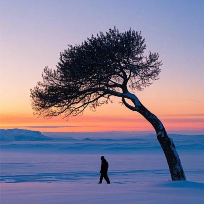 沈阳故宫+长白山+延吉+哈尔滨6日5晚拼小团 沈阳故宫+长白山+延吉+哈尔滨6日5晚拼小团