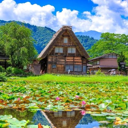 日本名古屋+飞弹高地+金泽+立山黑部阿尔卑斯山脉6日5晚私家团 日本名古屋+飞弹高地+金泽+立山黑部阿尔卑斯山脉6日5晚私家团
