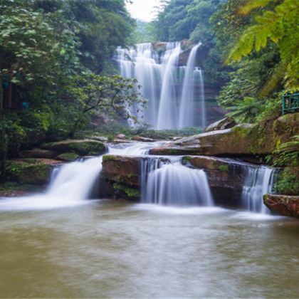 贵州黄果树+赤水丹霞旅游区·大瀑布+佛光岩+赤水竹海公园+遵义6日5晚私家团