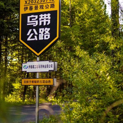 哈尔滨+伊春5日4晚私家团 哈尔滨+伊春5日4晚私家团