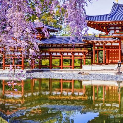 日本大阪5日4晚私家团 日本大阪5日4晚私家团