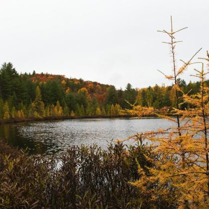 加拿大多伦多+阿尔冈金省立公园+渥太华+蒙特利尔+金斯顿6日5晚拼小团 加拿大多伦多+阿尔冈金省立公园+渥太华+蒙特利尔+金斯顿6日5晚拼小团