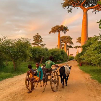 毛里求斯+马达加斯加10日8晚自由行 毛里求斯+马达加斯加10日8晚自由行