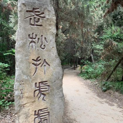 菏泽曹州牡丹园+孙膑旅游城+蚩尤陵旅游区+水泊梁山+水浒好汉城4日3晚私家团 菏泽曹州牡丹园+孙膑旅游城+蚩尤陵旅游区+水泊梁山+水浒好汉城4日3晚私家团