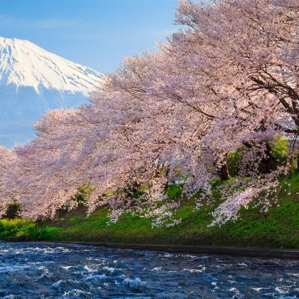 东京+富士山+银山温泉+藏王树冰6日5晚拼小团 东京+富士山+银山温泉+藏王树冰6日5晚拼小团