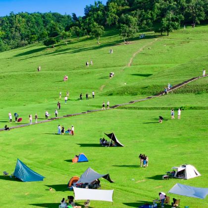 西安+宝鸡+九龙山景区+咸阳+郑国渠旅游风景区6日5晚私家团 西安+宝鸡+九龙山景区+咸阳+郑国渠旅游风景区6日5晚私家团