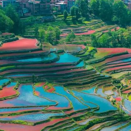 昆明+哀牢山自然保护区+弥勒+普者黑风景区+蒙自+元阳+建水+抚仙湖8日7晚拼小团 昆明+哀牢山自然保护区+弥勒+普者黑风景区+蒙自+元阳+建水+抚仙湖8日7晚拼小团