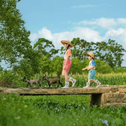 长沙+天门山国家森林公园+张家界国家森林公园+凤凰古城+芙蓉镇12日11晚私家团 长沙+天门山国家森林公园+张家界国家森林公园+凤凰古城+芙蓉镇12日11晚私家团