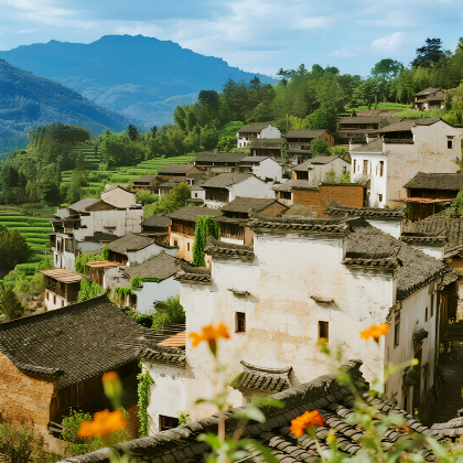 黄山+婺源+宏村3日2晚跟团游 黄山+婺源+宏村3日2晚跟团游