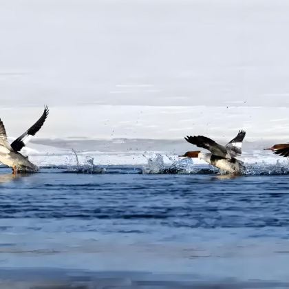 延吉+长白山5日4晚私家团 延吉+长白山5日4晚私家团