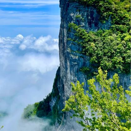 张家界+天门山+凤凰5日4晚跟团游 张家界+天门山+凤凰5日4晚跟团游