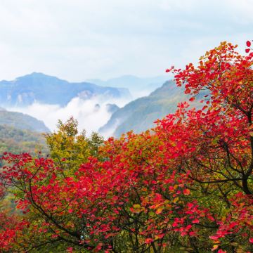 河南安阳+邯郸5日4晚拼小团 河南安阳+邯郸5日4晚拼小团