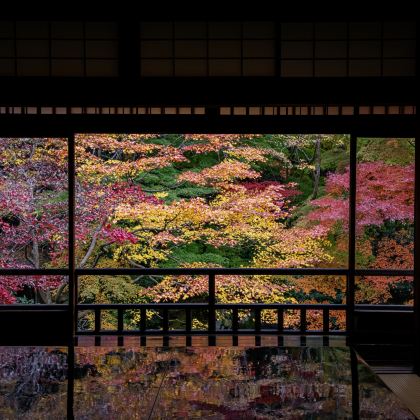 日本东京+箱根+大阪+京都7日6晚私家团 日本东京+箱根+大阪+京都7日6晚私家团
