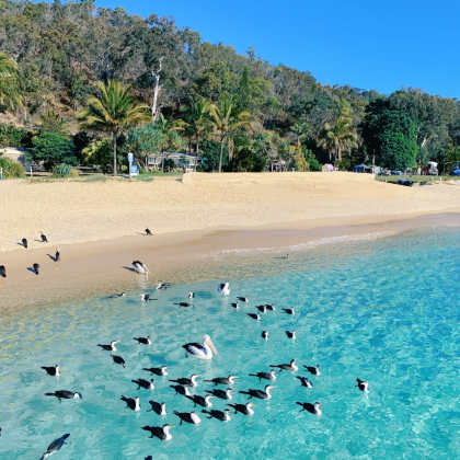 澳大利亚墨尔本+布里斯班+黄金海岸+悉尼12日11晚私家团 澳大利亚墨尔本+布里斯班+黄金海岸+悉尼12日11晚私家团