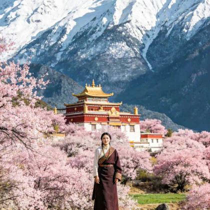 成都+川藏公路+林芝+然乌湖+波密+拉萨11日10晚拼小团 成都+川藏公路+林芝+然乌湖+波密+拉萨11日10晚拼小团