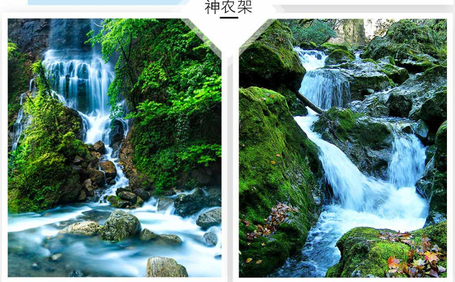 神农架大九湖国家湿地公园5日4晚私家团