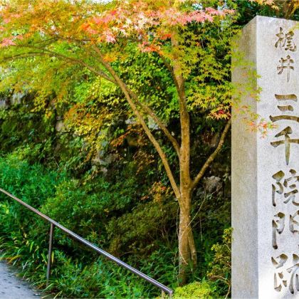 日本大阪+京都+东京7日6晚跟团游 日本大阪+京都+东京7日6晚跟团游