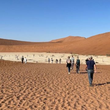 南非开普敦12日11晚私家团 南非开普敦12日11晚私家团