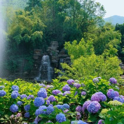 灵山胜境+鼋头渚3日2晚自由行 灵山胜境+鼋头渚3日2晚自由行