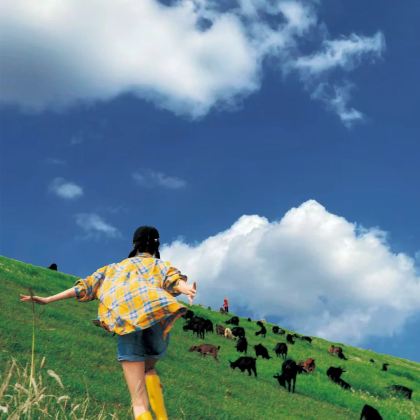 木兰围场+乌兰布统+塞罕坝3日2晚拼小团 木兰围场+乌兰布统+塞罕坝3日2晚拼小团