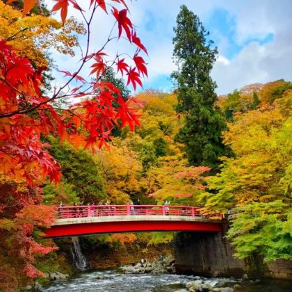 日本东京+日光市+茨城+春日部市6日5晚拼小团 日本东京+日光市+茨城+春日部市6日5晚拼小团