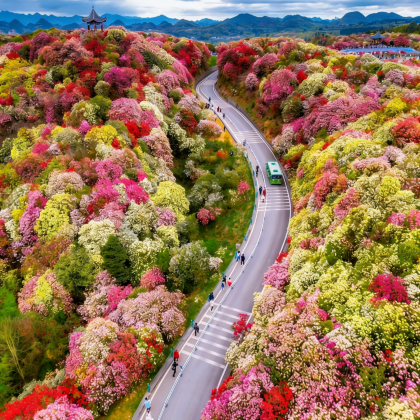 贵州贵阳+黄果树景区+织金洞+荔波+西江千户苗寨6日5晚私家团 贵州贵阳+黄果树景区+织金洞+荔波+西江千户苗寨6日5晚私家团